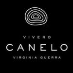vivero_canelo